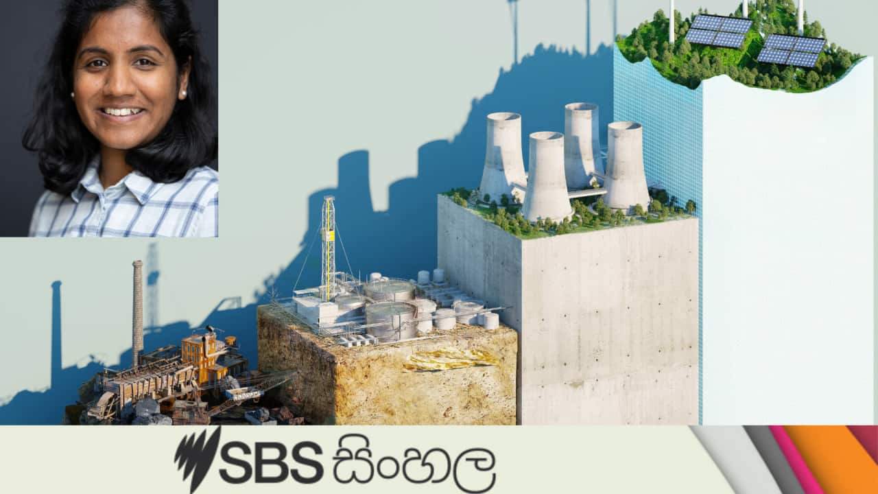 Sustainability growing bar chart