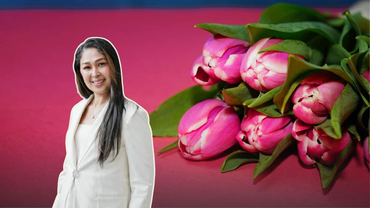 Maya header of ALC Header Cutout.jpg