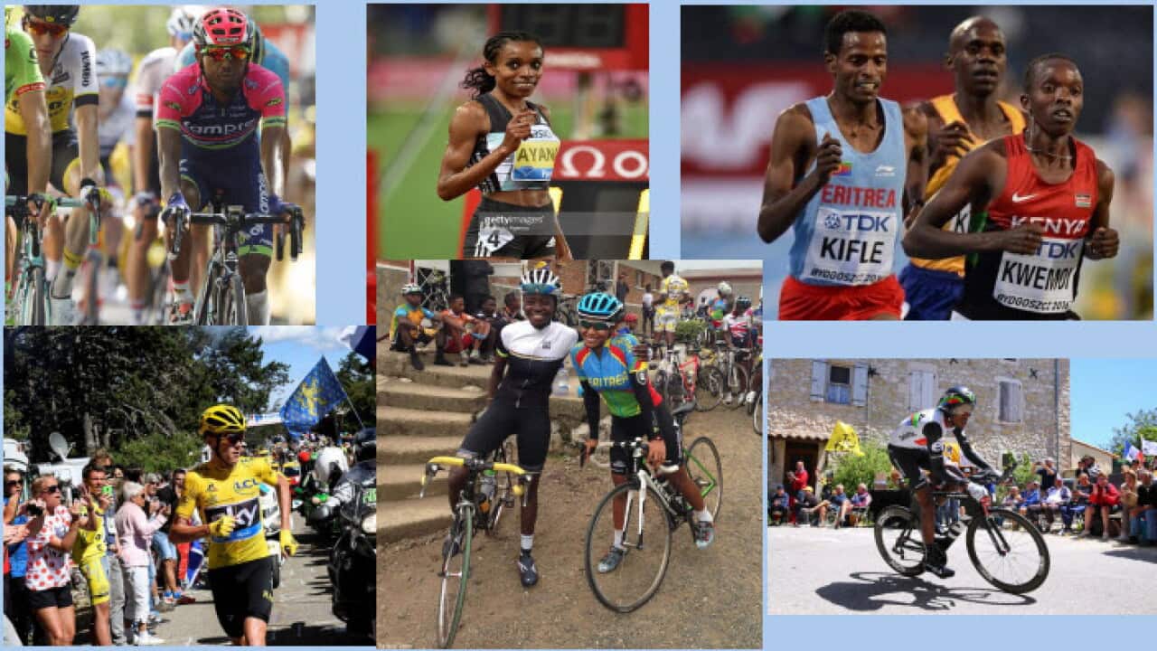 Weekly Sport