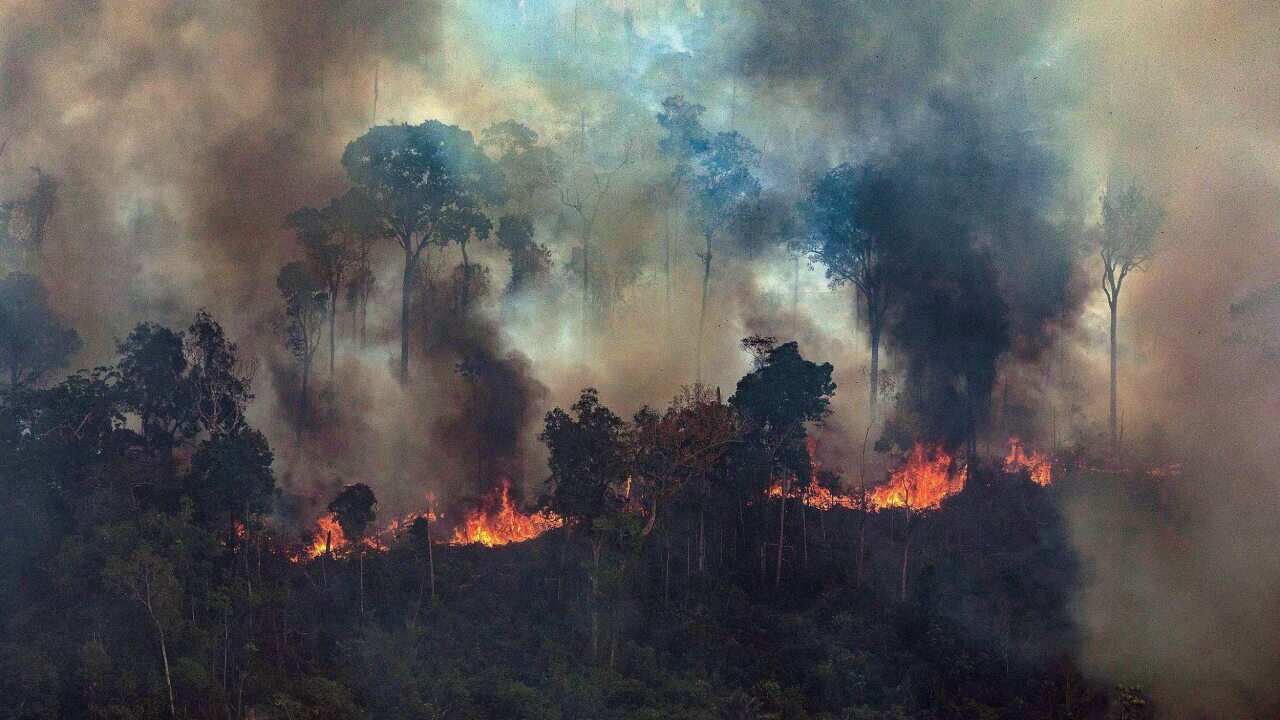 Smoke rising from the fire at the Amazon forest in Novo Progresso in the state of Para, Brazil
