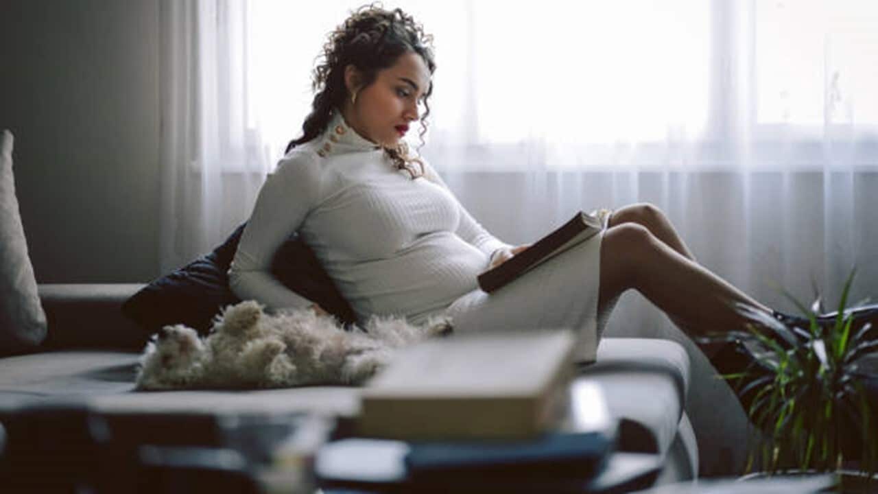 Young pregnant woman .jpg