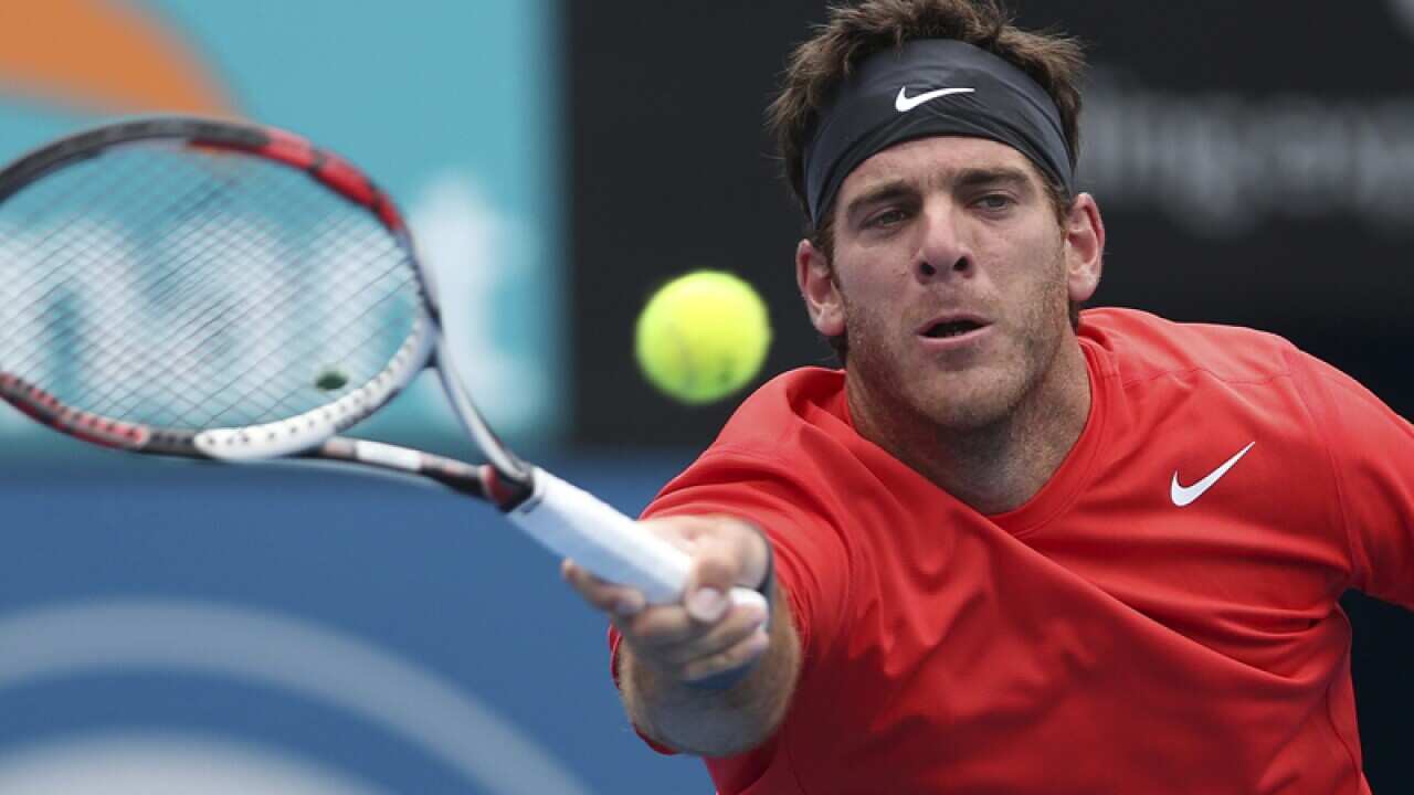 Juan Martin del Potro