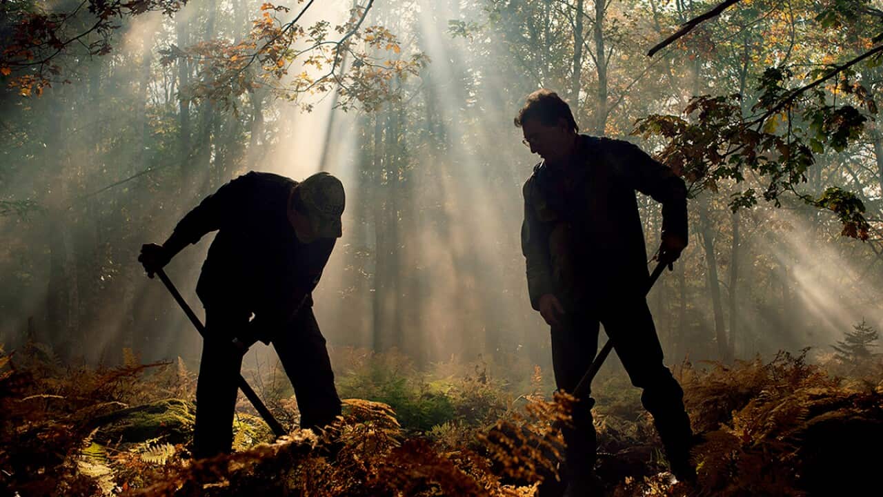 Rick and Marty in The Curse of Oak Island S7