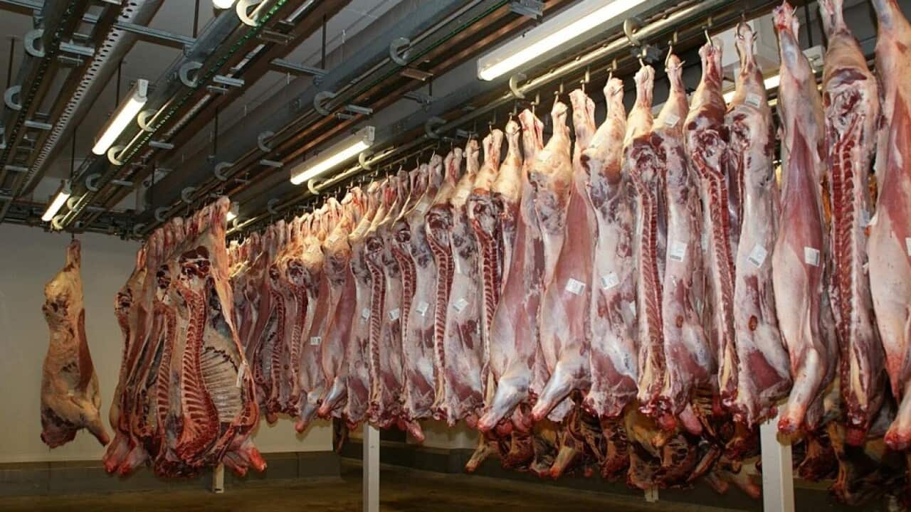 Coronavirus cases in Victoria climb by 22, including 19 more cases at an abattoir