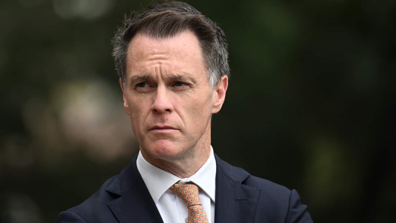 Image for read more article 'READ MORE'