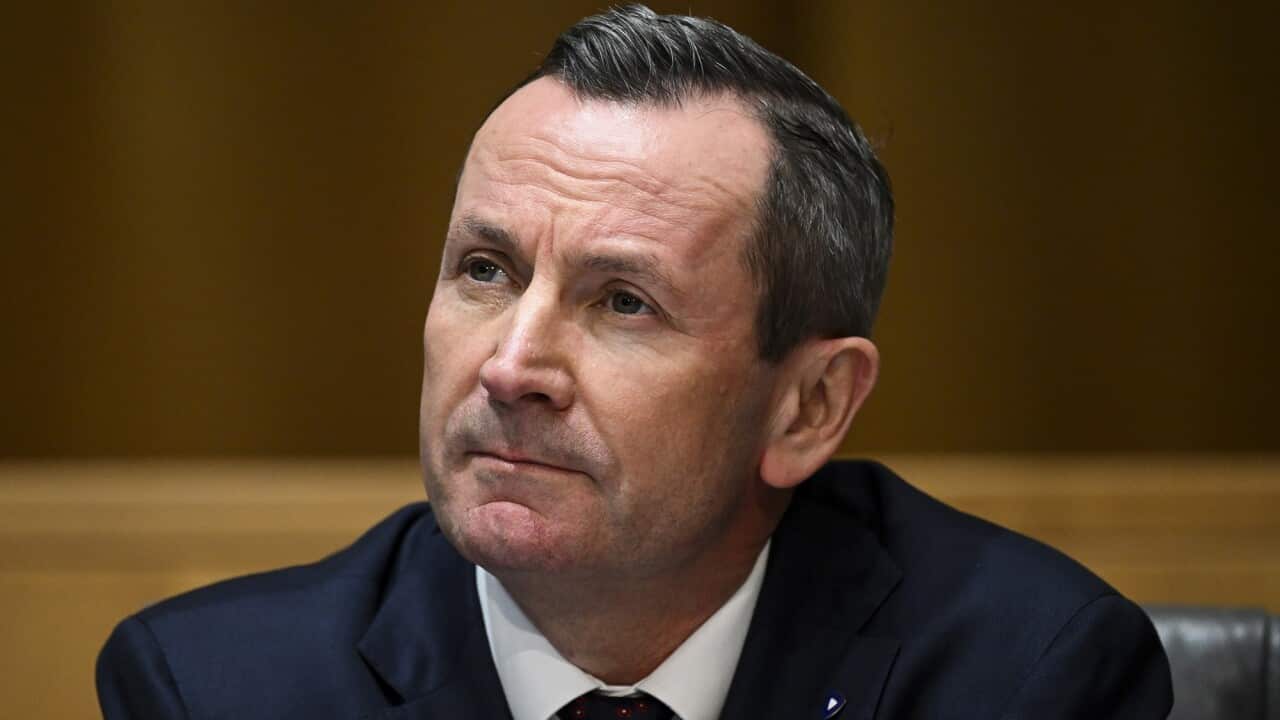 Mark McGowan gazes into the distance.