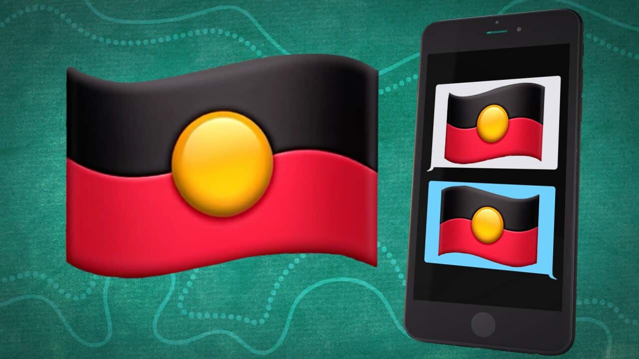 ABORIGINAL FLAG EMOJI WEB HERO.jpg