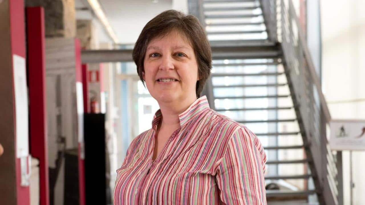 WhatsApp Image 2024-07-16 at 8.23.42 AM.jpeg