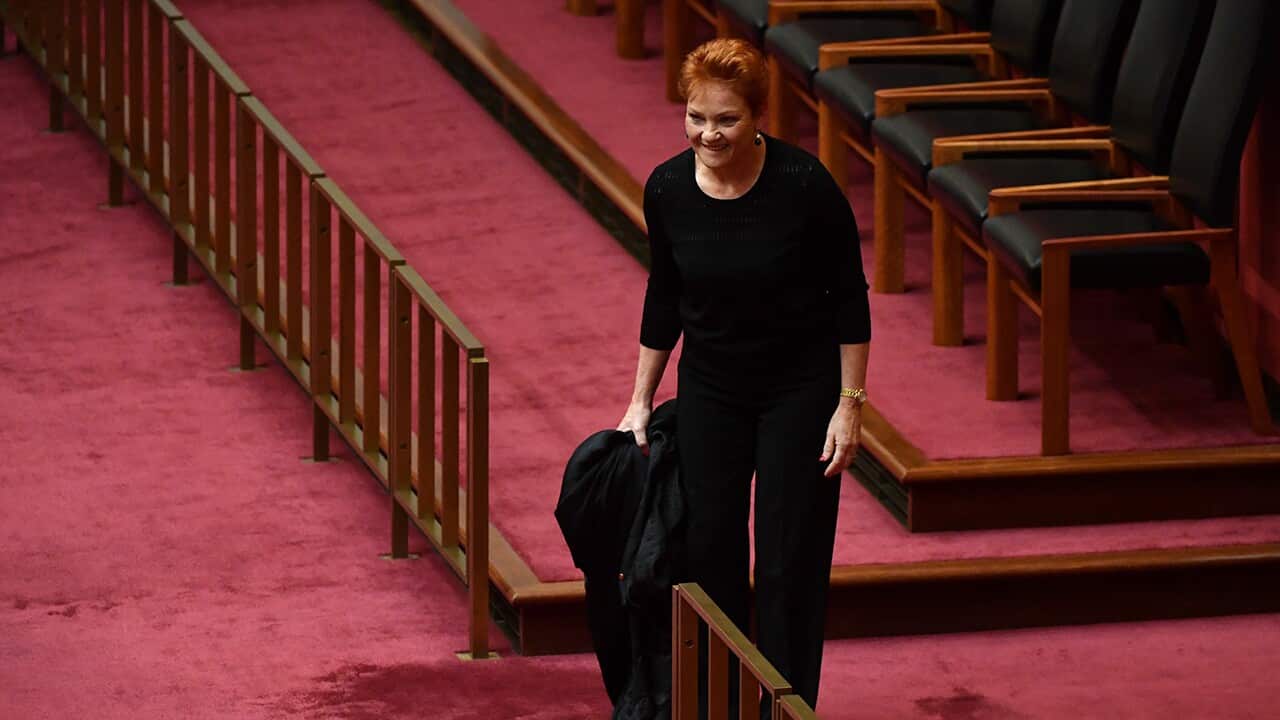 Pauline Hanson's burqa stunt condemned and slammed as 'toxic' | SBS News