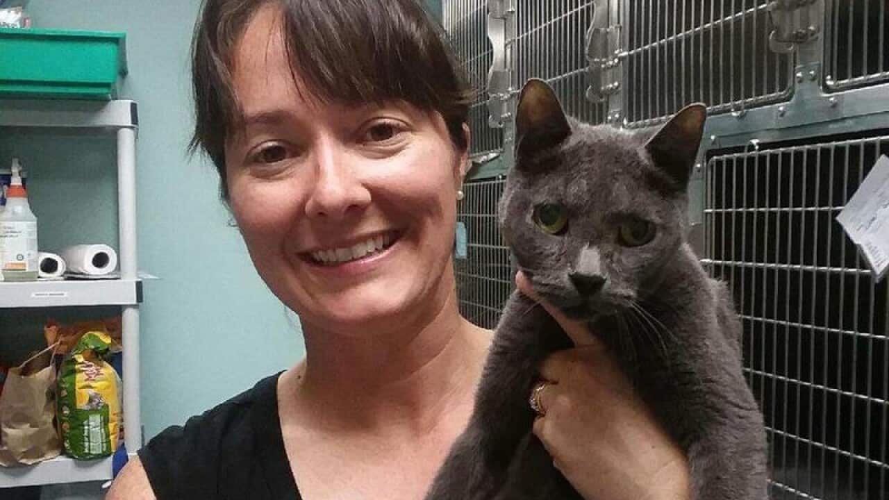 veterinarian Linda Kitchen holding a cat.