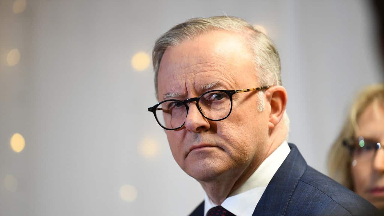 ANTHONY ALBANESE BRISBANE VISIT