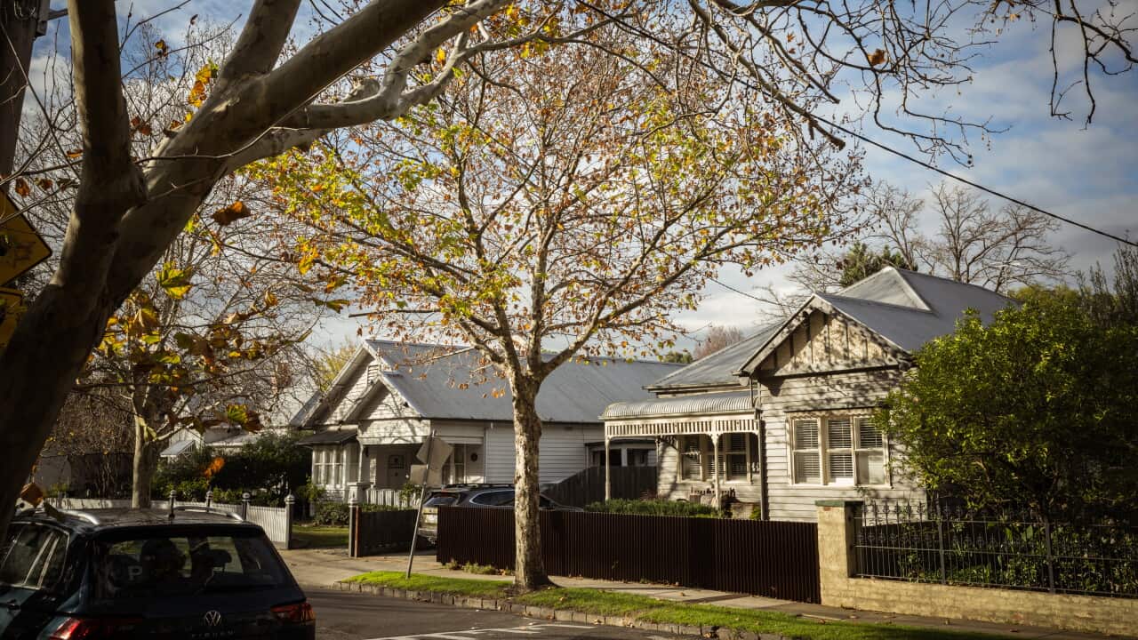 A photo of houses on a leafy street in Melbourne.