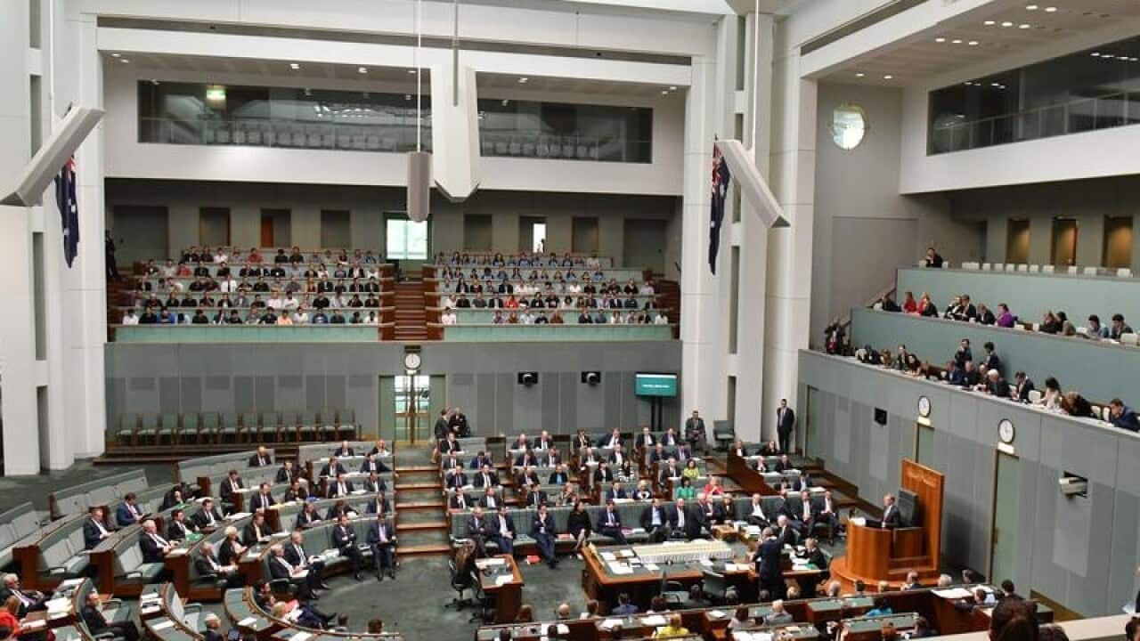 The House of Representatives during Question Time