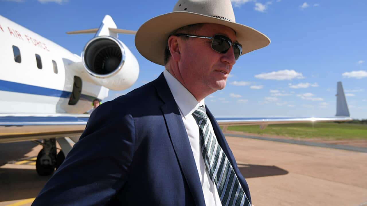 Australia's Acting Prime Minister Barnaby