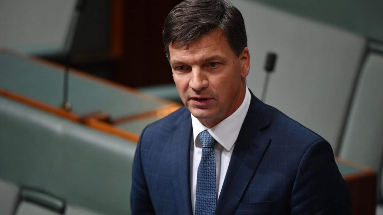 Image for read more article 'Más información'