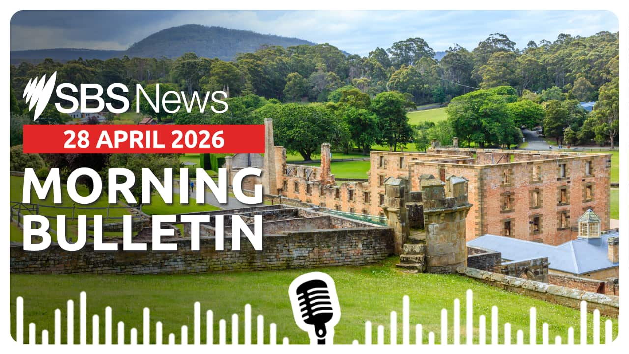 MORNING BULLETIN 280426.png