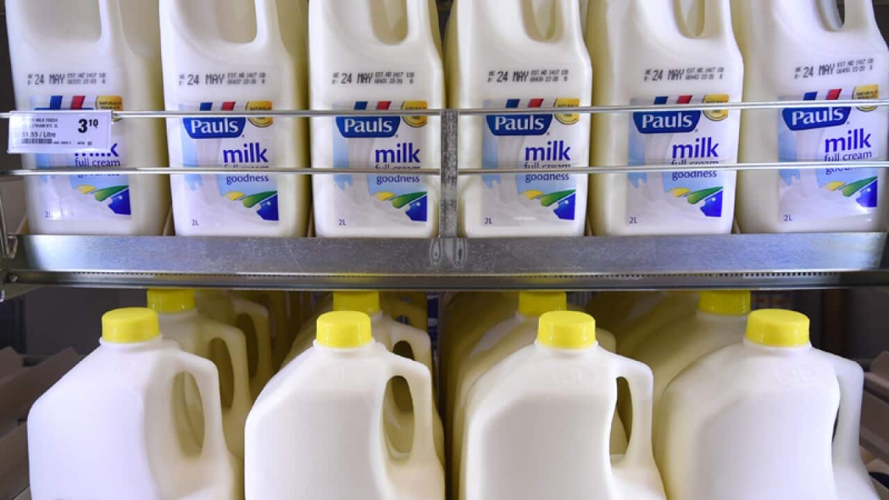 Bottles of milk in a supermarket fridge