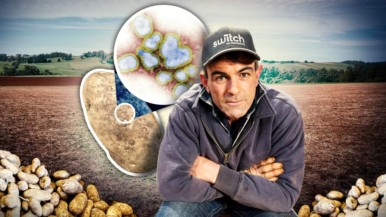 A farmer wearing a cap squats in a freshly tilled field, surrounded by superimposed images of small, diseased potatoes. An inset graphic shows a magnified, colour-enhanced image of potato mop top virus particles.