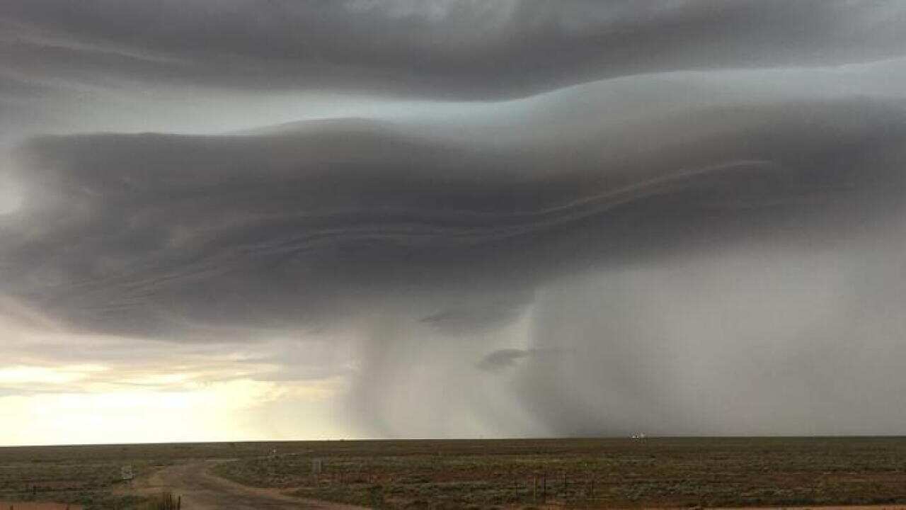 wild weather