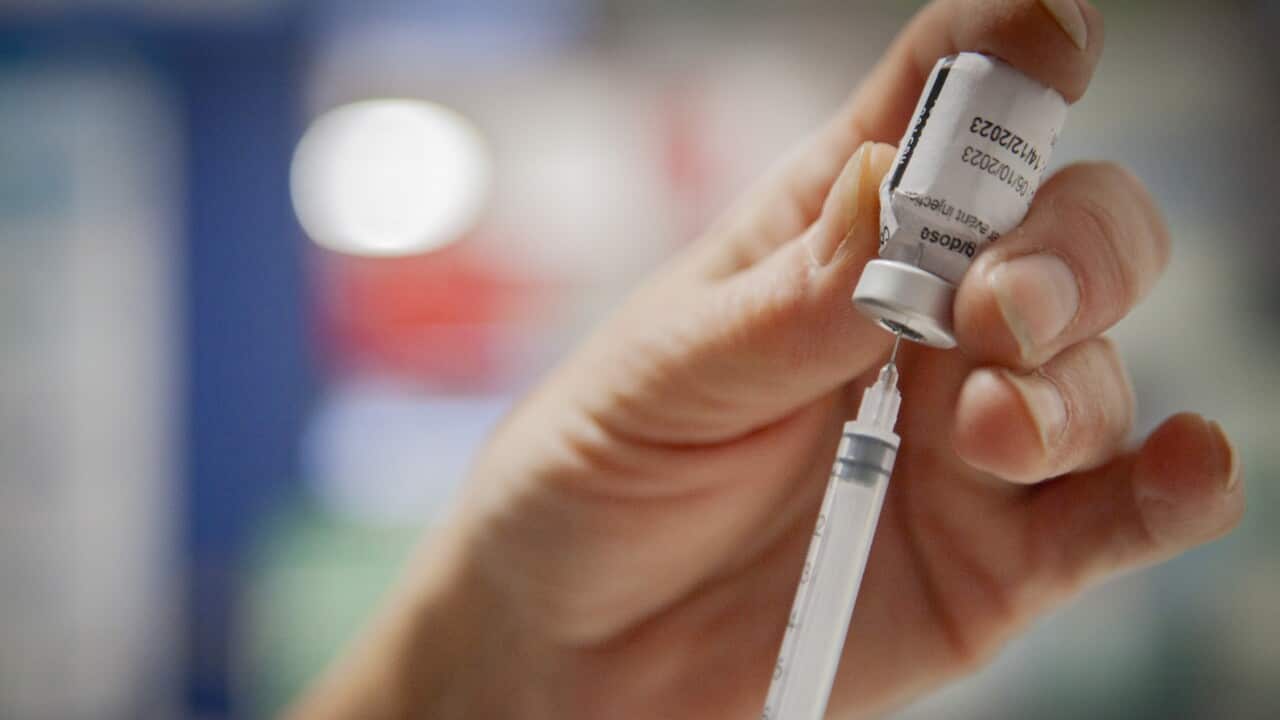 A person holding a needle draws liquid from a small bottle.