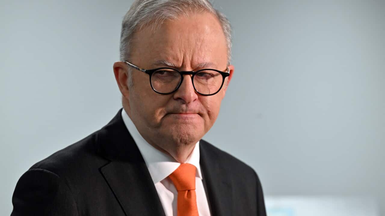 ANTHONY ALBANESE HEALTH CLINIC PRESSER