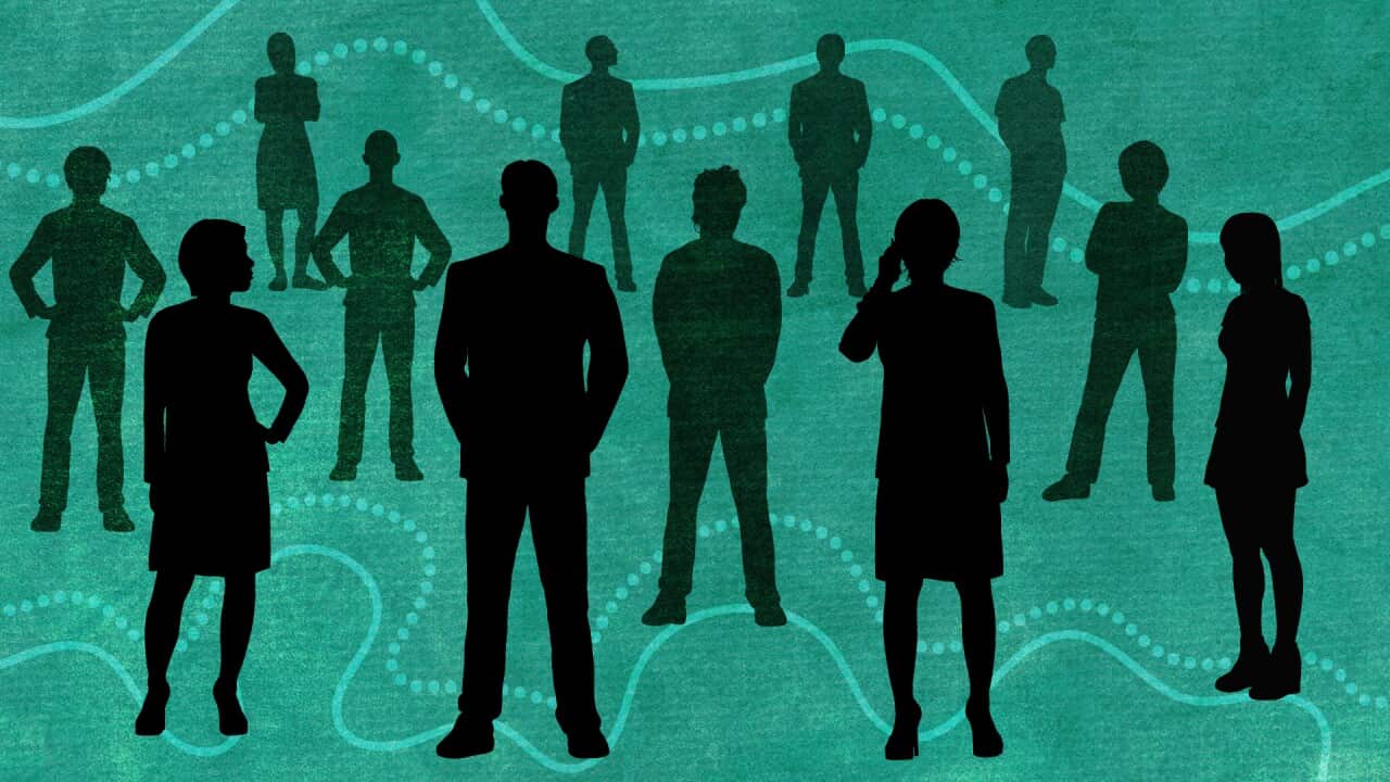 EMERGING ELDERS SILHOUETES WEB HERO freshwater.jpg