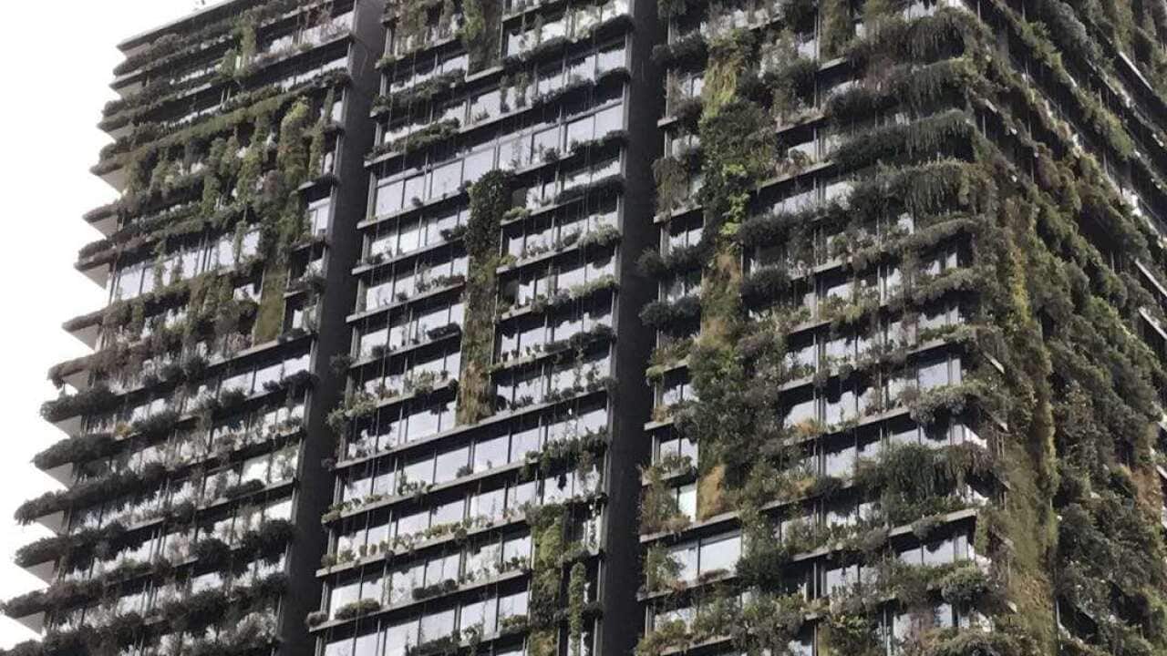 Image for read more article 'READ MORE'