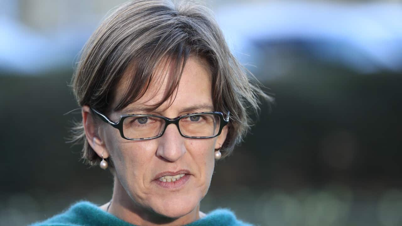 Greens Leader Cassy O'Connor has accused a Liberal staffer of calling her a "meth-head c---" in 2019.