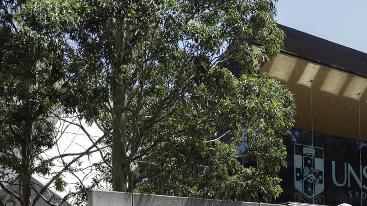 Students at a UNSW Campus