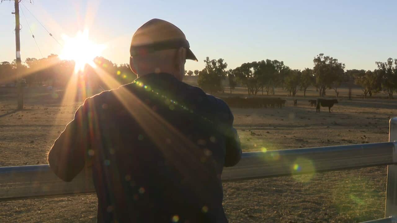Drought-stricken farmers say money won't fix the devastating crisis