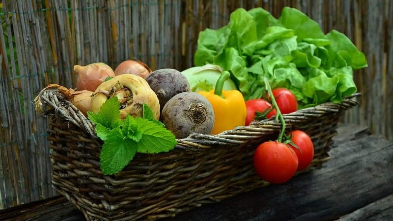 Image for read more article ''