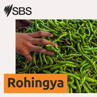 SBS-Podcasts_New_SBSRohingya_3000x3000px.jpg