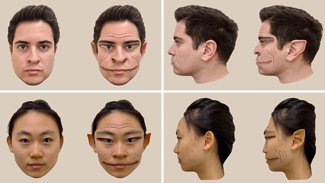 A set of four faces, featuring two different people either face on or from the side. The image shows a normal human face and then a face distorted with grooves and stretched out eyes.