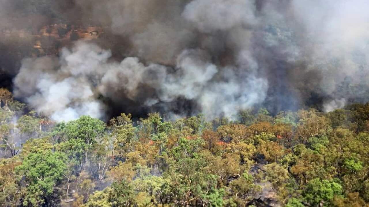 Bushfire safety