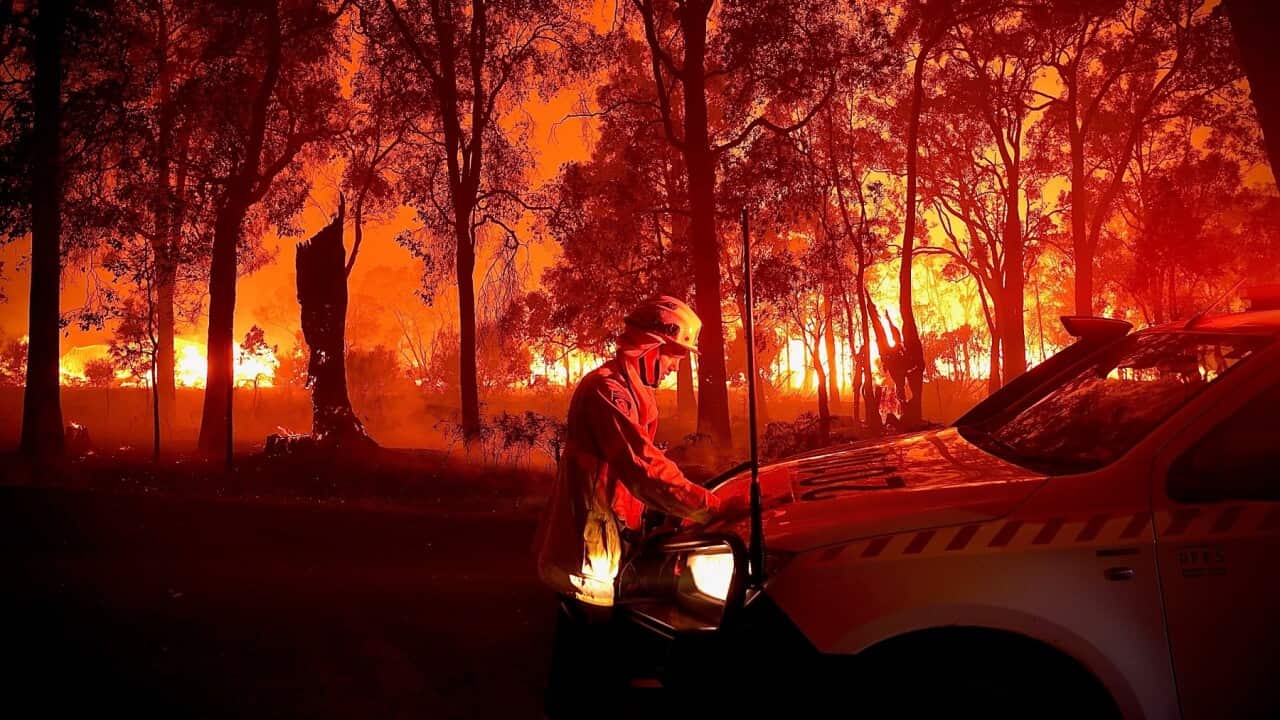 Firefighters battling a bushfire.jpg