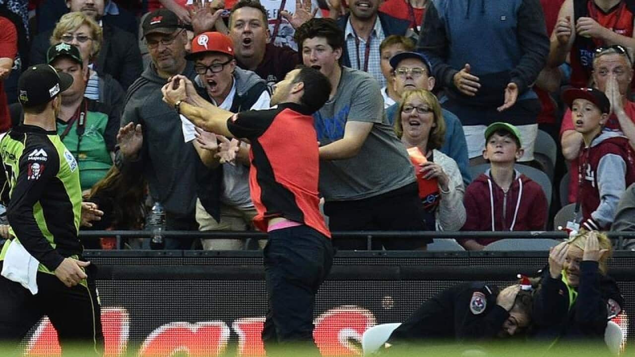 A fan attempts to take a catch during the Big Bash League.