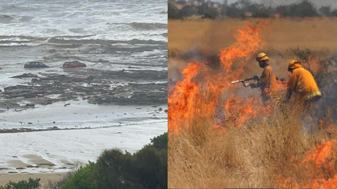 Image for read more article 'පසුගිය පුවත්'