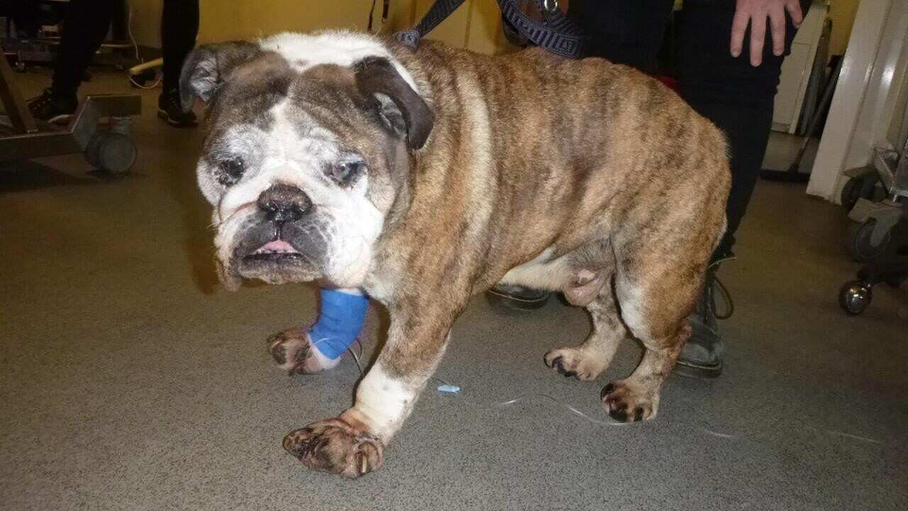 Image for read more article 'READ MORE'