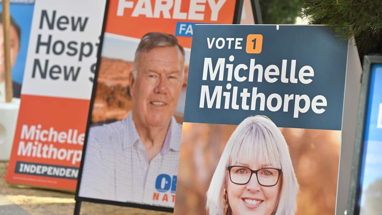 Campaign posters for candidates David Farley and Michelle Milthorpe