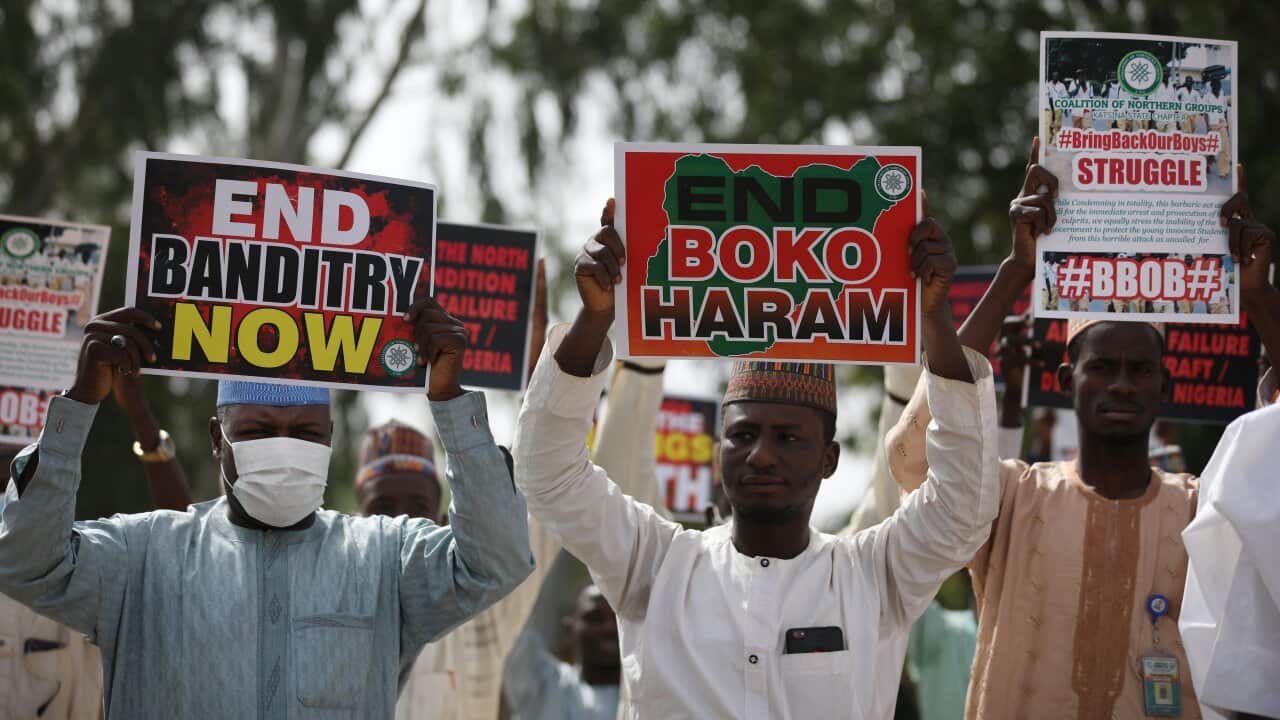 Hundreds of abducted schoolboys in Nigeria have been released, officials said.