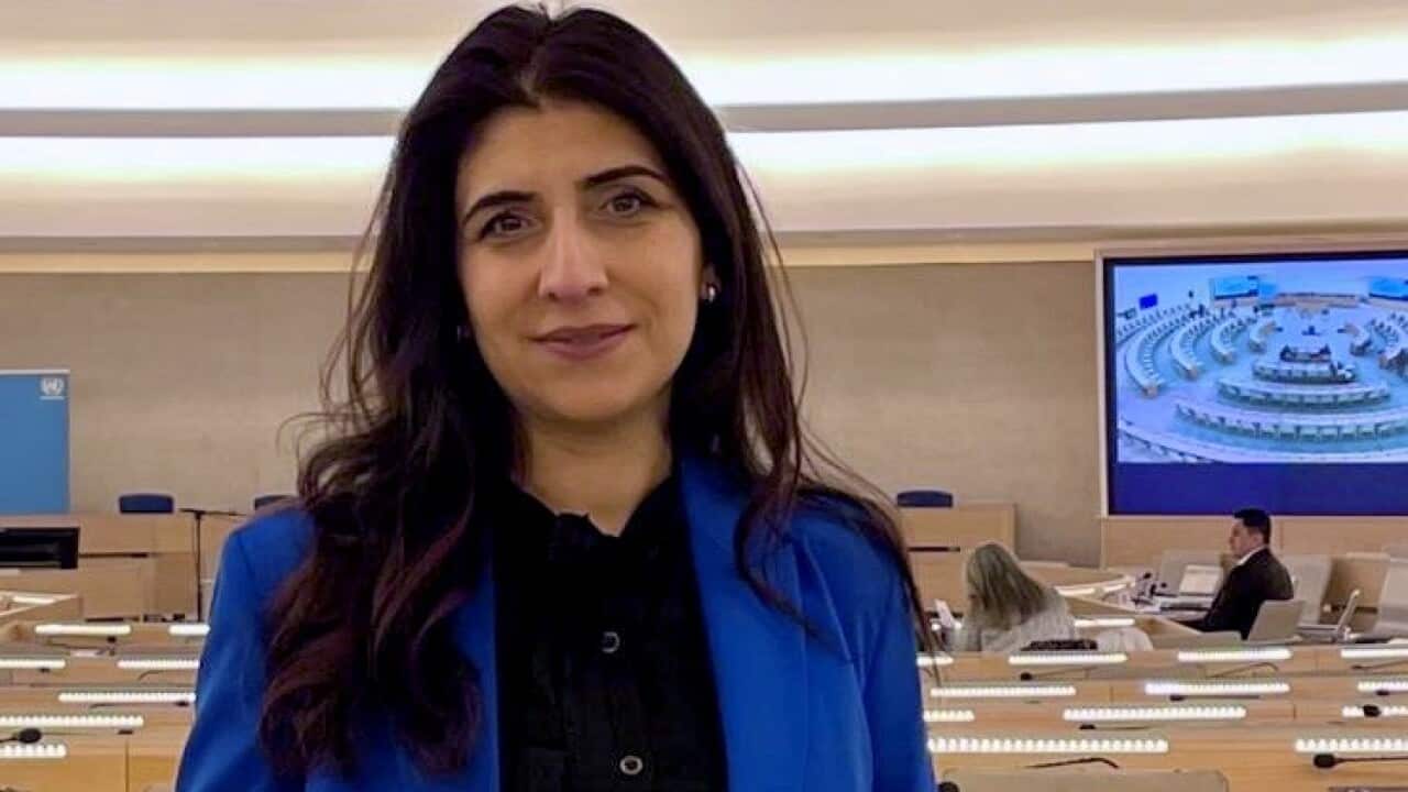 Roka Sheddo 1.jpeg.jpg