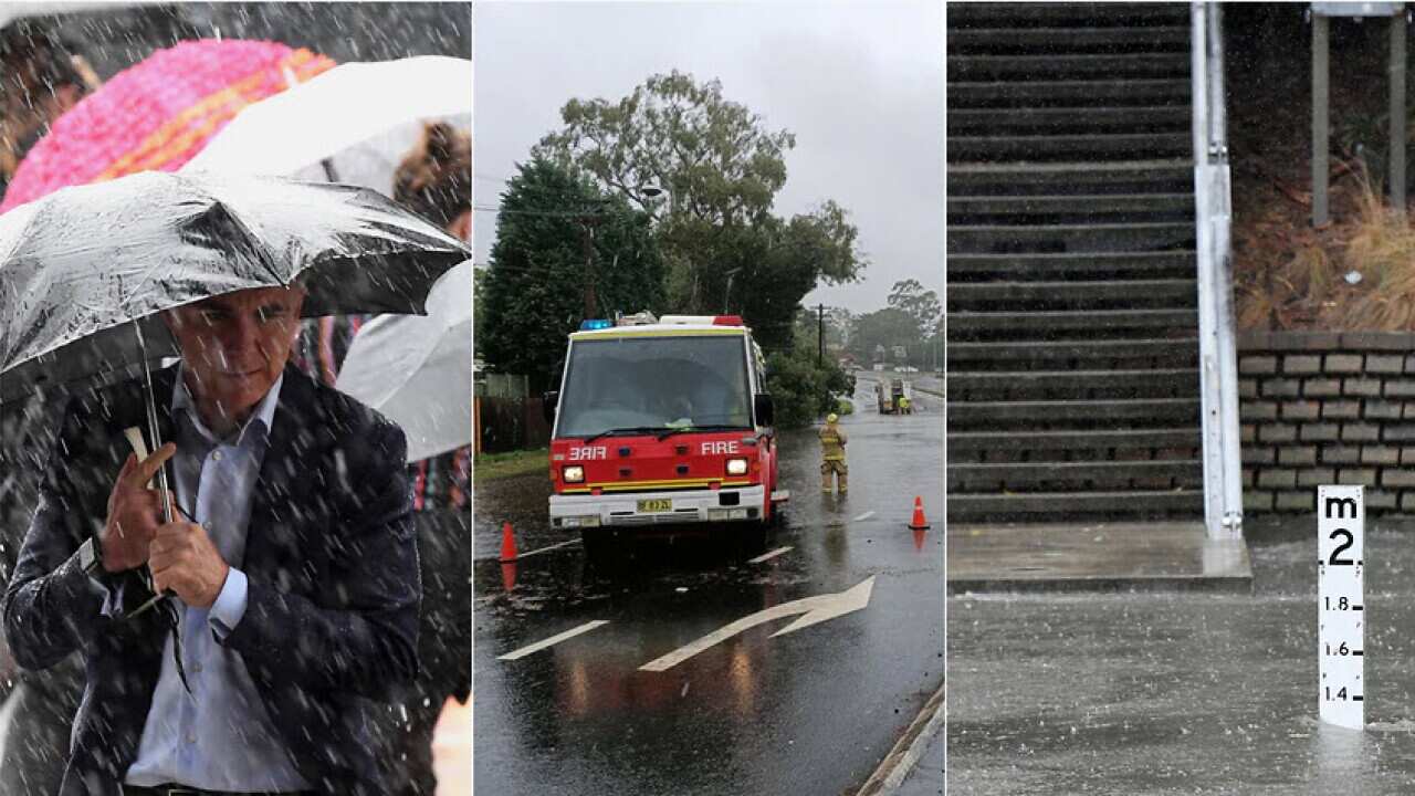 Rain across NSW intensify