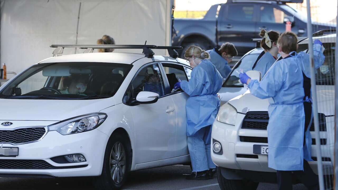 کلینیک آزمایش سواره در منطقه نیوکاسل نیوساوتولز