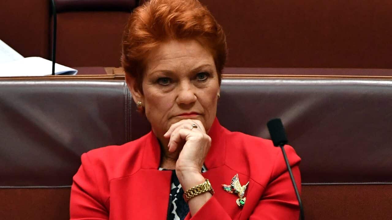 One Nation leader Pauline Hanson