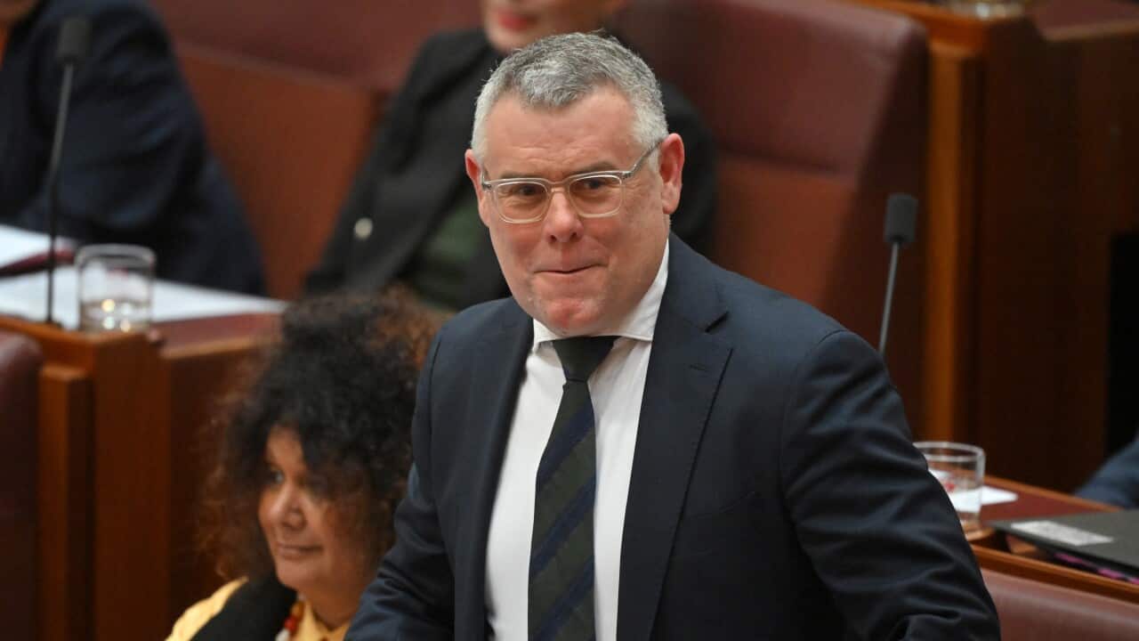 SENATE QUESTION TIME