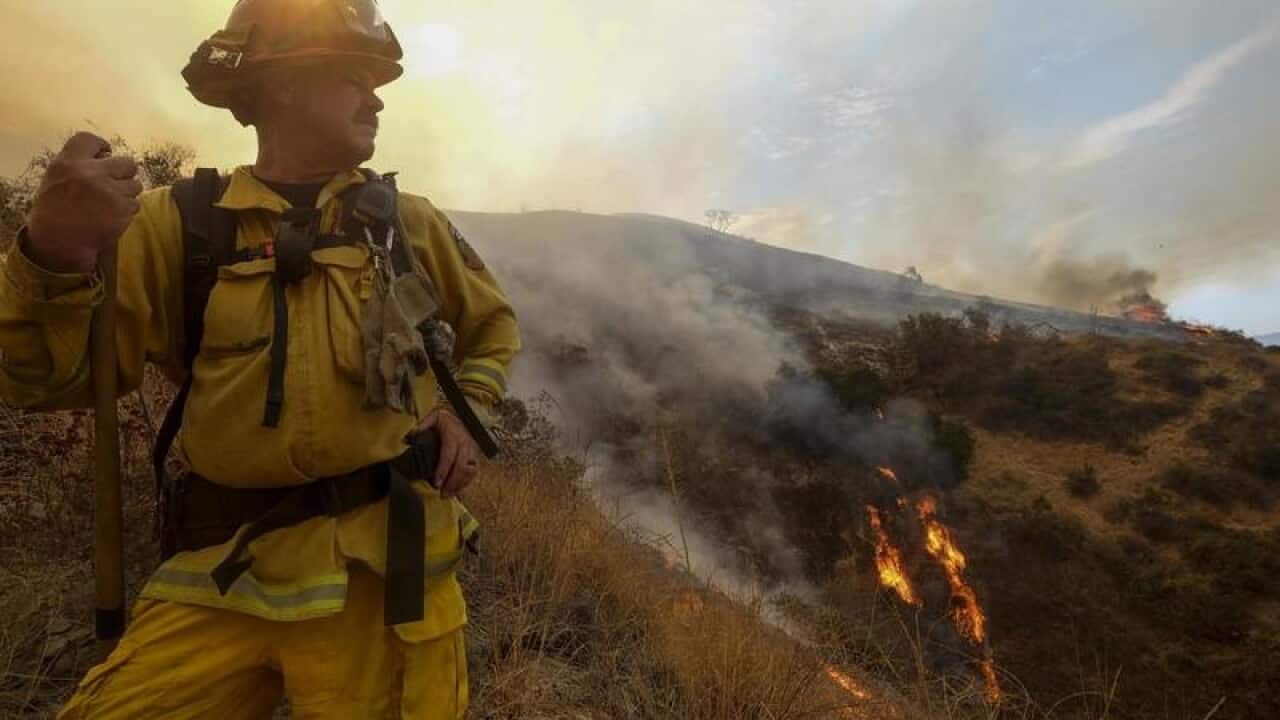 Firefighter
