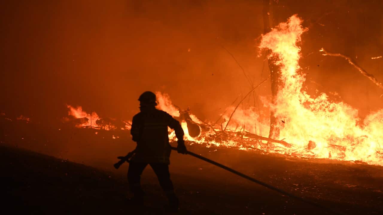 Firefighters in action in NSW this week.