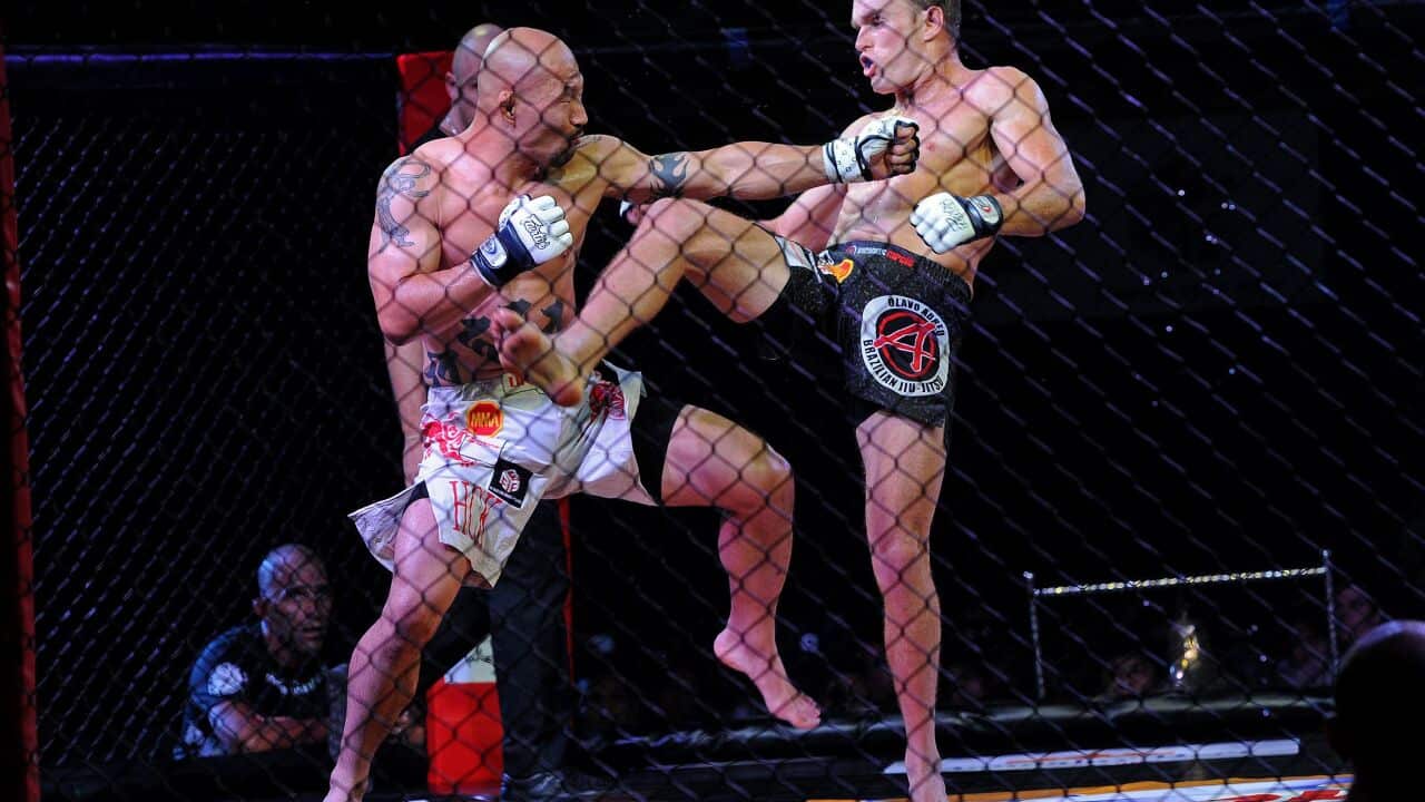 mma.jpg