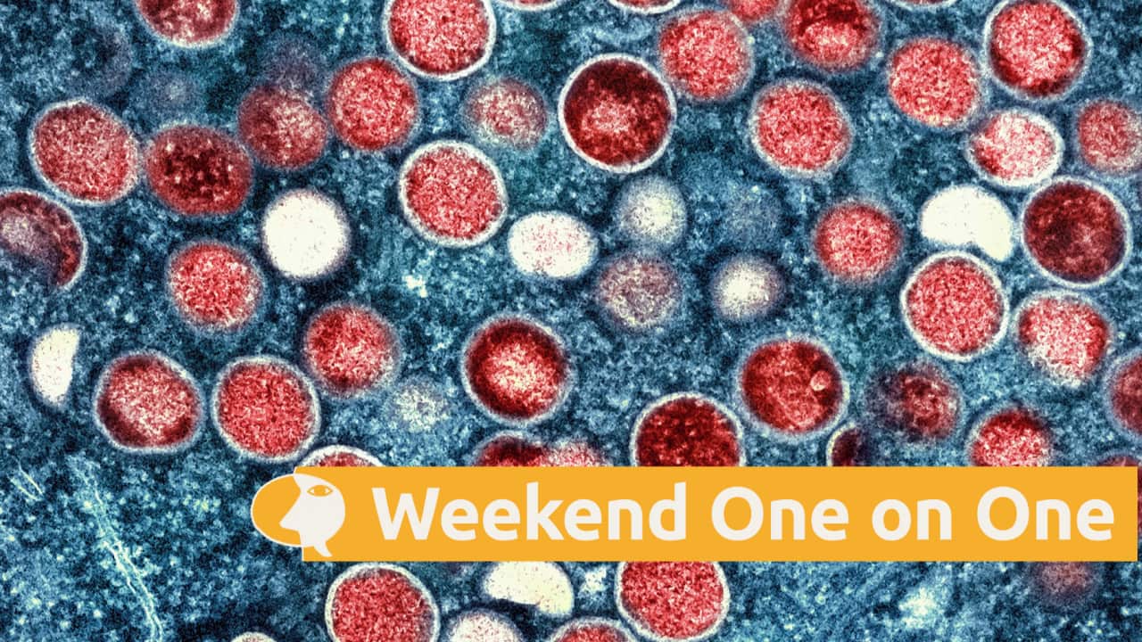 Red mpox particles found within an infected cell (blue), cultured in a laboratory (AAP).png