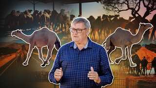Camel Problem Big, thirsty, and 'willing to do anything' for water: Australia's camel ...
